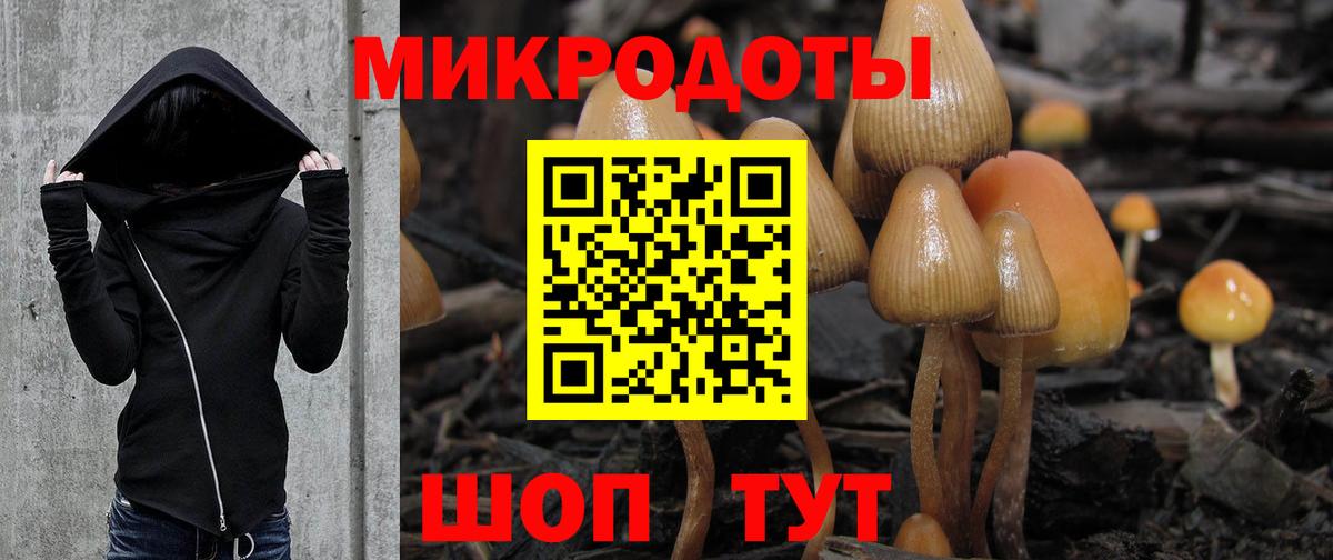 Топки  Галлюциногенные грибы Cubensis  Галлюциногенные грибы Psilocybe  Вход с VPN 