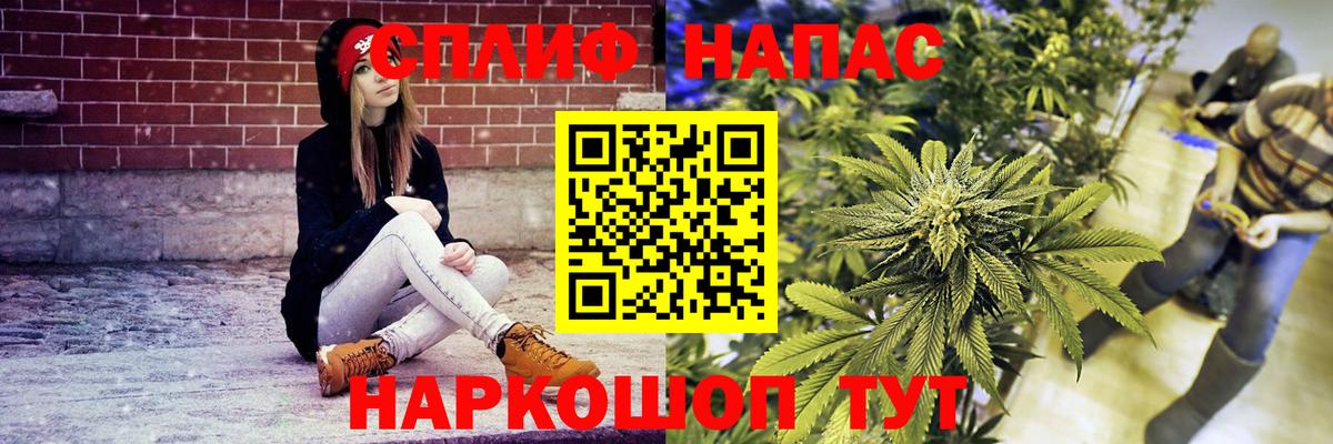 МАРИХУАНА ГИДРОПОН Топки